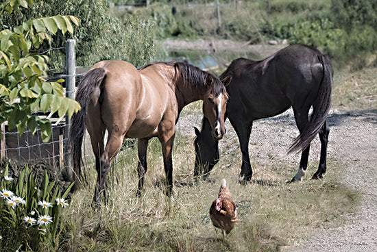 Robin-Lee Vieira RLV805 - RLV805 - Two's Company - 18x12 farm scene, horses grazing, chicken on trail, sunny pasture, rural animals, country life, green foliage, summertime farm setting from Penny Lane