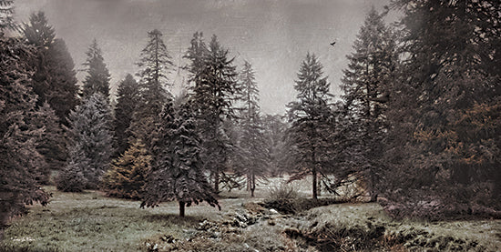 Robin-Lee Vieira RLV810 - RLV810 - Conifer Meadow - 18x9 dense evergreen forest, misty atmosphere, moody lighting, overcast sky, tranquil nature scene, conifer trees, pine forest from Penny Lane