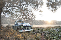 RLV827 - The Cabbage Patch - 18x12