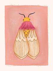 RN704 - Boho Moth - 12x16