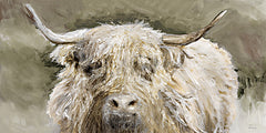 SDS1202 - Highland Cow    - 16x30