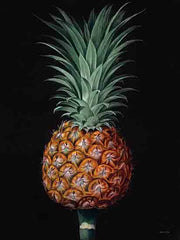 SDS1503 - Vintage Pineapple I - 12x16