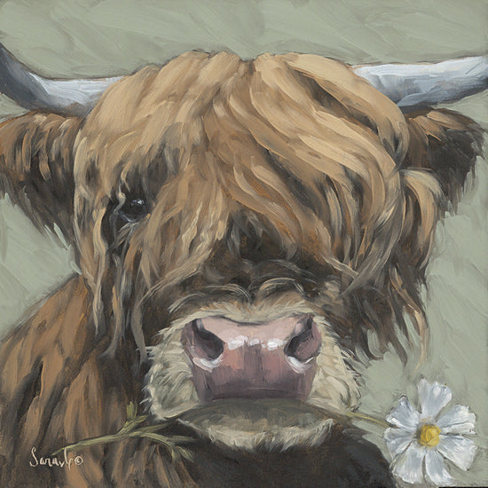 Sara G. Designs SGD303 - SGD303 - Blossom Babe 2 - 12x12 highland cow, flower in mouth, green background, humorous farm scene, shaggy cow art from Penny Lane