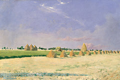 ST1201 - Soft Light on Open Fields   - 18x12