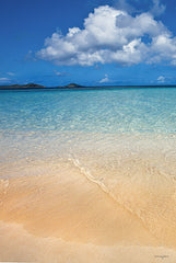 STAR109 - Caribbean Beach Diptych I - 12x18