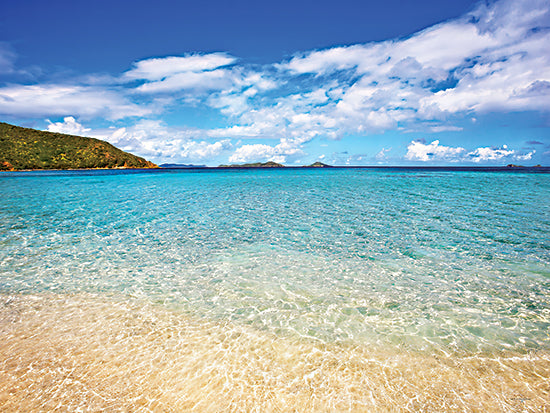Catch A Star Fine Art STAR111 - STAR111 - Caribbean Coastline - 16x12 clear turquoise ocean, shallow beach waters, white sand, tropical coast, distant islands, blue sky, fluffy clouds from Penny Lane