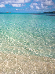 STAR120 - Caribbean Shoreline Diptych II - 12x16