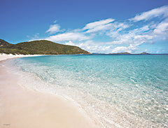 STAR130 - Coastal Caribbean Shoreline Triptych I - 16x12