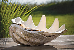 STAR147 - Sea Treasure - 18x12