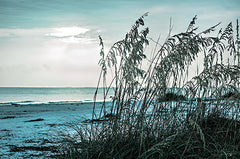 STAR158 - Turquoise Waters - 18x12