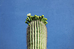 STAR180 - Saguaro Standing Tall II - 18x12
