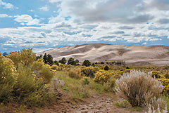 STAR187 - Dune Dreamscape I - 18x12