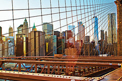 STAR240 - Strands of Steel - 18x12