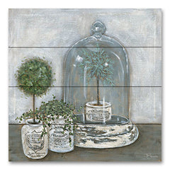 HH205PAL - Little Topiaries     - 12x12