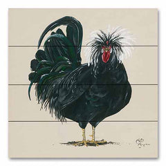 HH215PAL - Chicken     - 12x12