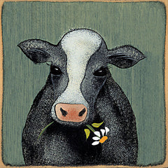 HILL753 - Miss Daisy - 12x12