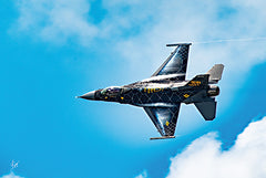 JDS230 - Breaking Free - 18x12