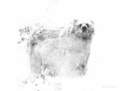 BLUE105 - Bear - 16x12