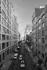 JDS216 - Dueling Cabs - 12x18