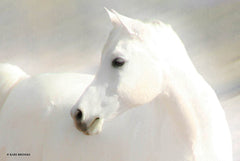 KARI124 - White Arab II - 18x12