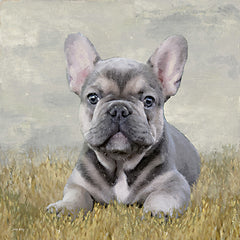 AS251 - Frenchie Friend - 12x12