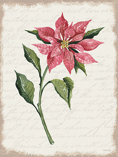 Cindy Jacobs Licensing CIN3263LIC - CIN3263LIC - Poinsettia Botanical I - 0  from Penny Lane