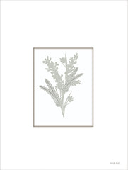 CIN4270 - Botanical Silhouette III - 12x16