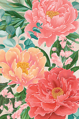 CTD117LIC - Coral Peonies - 0