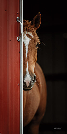 Dakota Diener DAK268 - DAK268 - Half a Horse - 9x18 Photography, Horse, Brown Horse, Barn Door, Half a Horse from Penny Lane