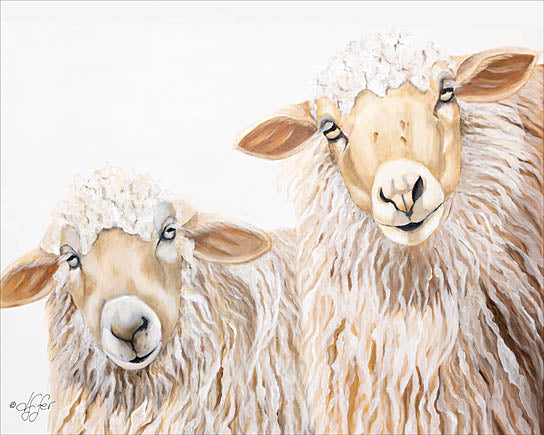 Diane Fifer DF110 - DF110 - Ba Ba White Sheep - 16x12 Sheep, White Sheep, Two Sheep, Portrait, Farm Animals, White from Penny Lane