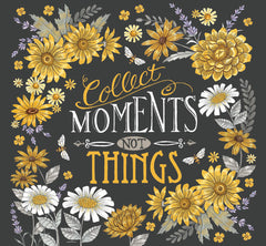 DS2320 - Collect Moments Not Things - 12x12