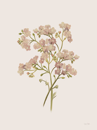 House Fenway FEN897 - FEN897 - British Wildflower I - 12x16 Flowers, Pink Flowers, British Wildflower, Botanical from Penny Lane