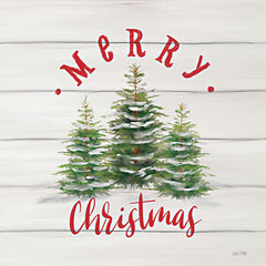 FEN964LIC - Merry Christmas on Shiplap - 0