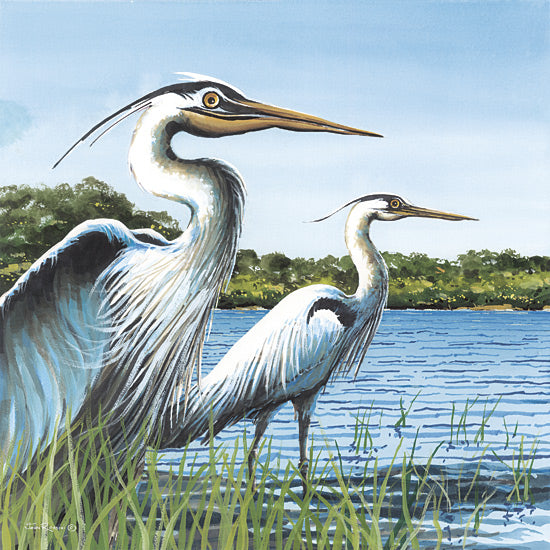 John Rossini JR434 - JR434 - Twins - 12x12 Coastal, Herons, Lake, Landscape, Grass, Trees, Tree-Lined, Two Herons from Penny Lane