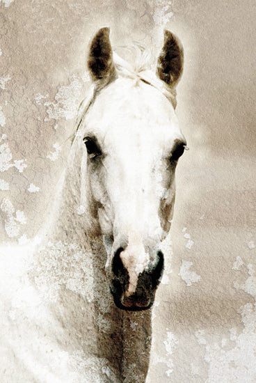 Kari Brooks KARI174 - KARI174 - Amber - 12x18 Horse, White Horse, Portrait, Abstract, Watercolor from Penny Lane