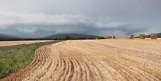 Lori Deiter Licensing LD2920LIC - LD2920LIC - Stormy Day Harvest II - 0  from Penny Lane