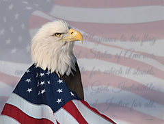 LD3109LIC - Patriotic Bald Eagle - 0