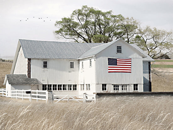 Lori Deiter Licensing LD3163LIC - LD3163LIC - USA Patriotic Barn - 0  from Penny Lane