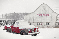 LD3296 - Studebaker at Tree Farm - 18x12