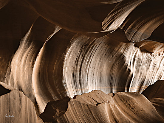 Lori Deiter LD3392 - LD3392 - Canyon Abstract I - 16x12 Photography, Canyon, Abstract, Brown from Penny Lane