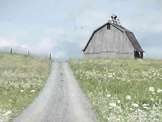 Lori Deiter LD3467 - LD3467 - Over the Hill - 16x12 Photography, Landscape, Farm, Barn, Road, Wildflowers, White Flowers from Penny Lane