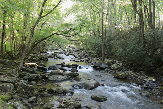 Lori Deiter LD3475 - LD3475 - Little Pigeon River  - 18x12 Photography, Landscape, River, Little Pigeon River, Pigeon Forge, Tennessee, Rocks, Trees from Penny Lane