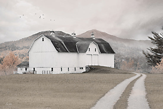 Lori Deiter LD3482 - LD3482 - Mountain Farm - 18x12 Photography, Farm, Barn, White Barn, Road, Landscape, Fall, Mountains, Trees, Neutral Palette from Penny Lane