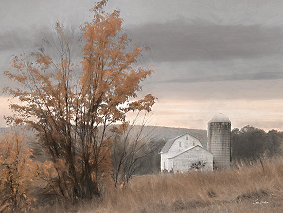 Lori Deiter LD3484 - LD3484 - Watkins Glen Farm in Autumn - 16x12 Photography, Farm, Barn, White Barn, Landscape, Trees, Watkins Glen Farm, Fall from Penny Lane