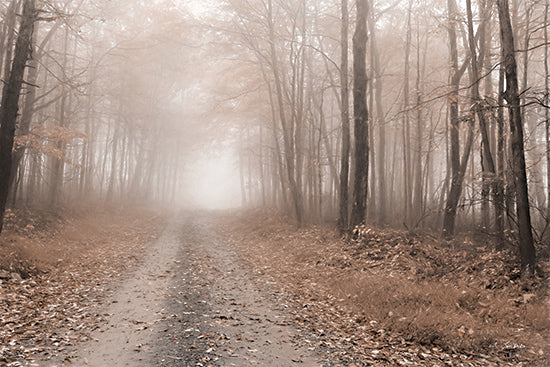 Lori Deiter LD3487 - LD3487 - Fallen Leaves - 18x12 Photography, Fall, Forest, Trees, Road, Leaves, Haze, Fog, Fallen Leaves from Penny Lane