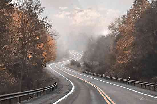 Lori Deiter LD3488 - LD3488 - Winding Mountain Road - 18x12 Photography, Landscape, Road, Winding Road, Mountains, Trees, Fall, Winding Mountain Road from Penny Lane