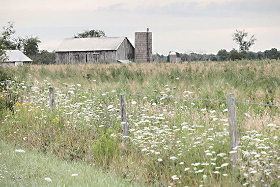 Lori Deiter LD3489 - LD3489 - Tucked Away Barn - 18x12 Photography, Farm, Barn, Fence, Landscape, Wildflowers, White Wildflowers, Silo from Penny Lane