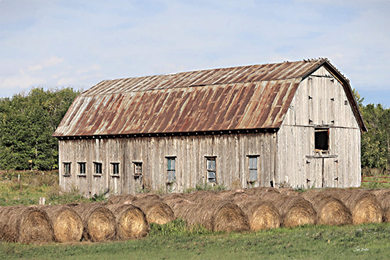 Lori Deiter LD3505 - LD3505 - Hay Day - 18x12 Photography, Farm, Barn, Hay Bales, Landscape, Trees, Fall from Penny Lane