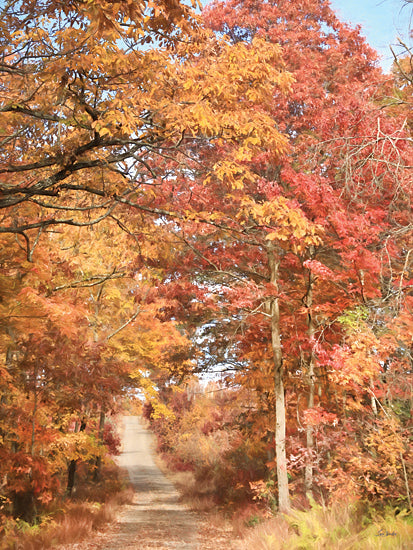 Lori Deiter LD3553 - LD3553 - Autumn in the Valley I - 12x16 Photography, Landscape, Trees, Fall, Fall Leaves, Road, Orange Leaves, Red Leaves from Penny Lane