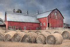 LD3617 - The Hay Harvest - 18x12